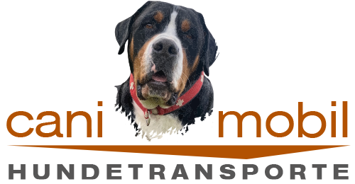 logo hundetransporte com